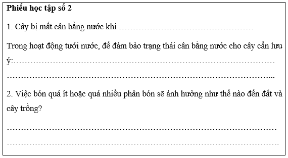 Giáo án Sinh 11 Kết nối tri thức (năm 2024 mới nhất) | Giáo án Sinh học 11