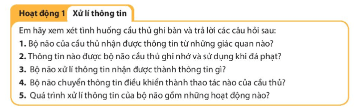 Giáo án Tin học 6 Kết nối tri thức (năm 2024 mới nhất) | Giáo án Tin 6