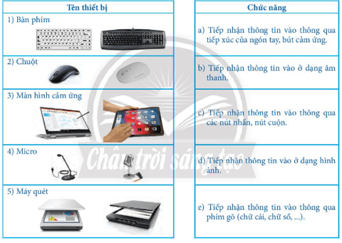 Giáo án Tin học 7 Chân trời sáng tạo (năm 2024 mới nhất) | Giáo án Tin 7