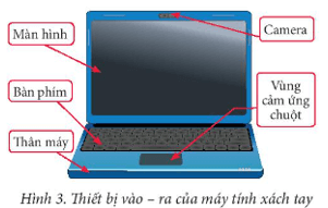 Giáo án Tin học 7 Chân trời sáng tạo (năm 2024 mới nhất) | Giáo án Tin 7