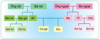 Giáo án Tự nhiên và xã hội lớp 3 Chân trời sáng tạo (năm 2025 mới nhất)