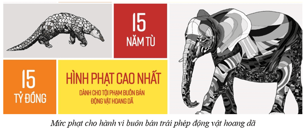 Lý thuyết GDCD 8 Cánh diều Bài 5: Bảo vệ môi trường và tài nguyên thiên nhiên