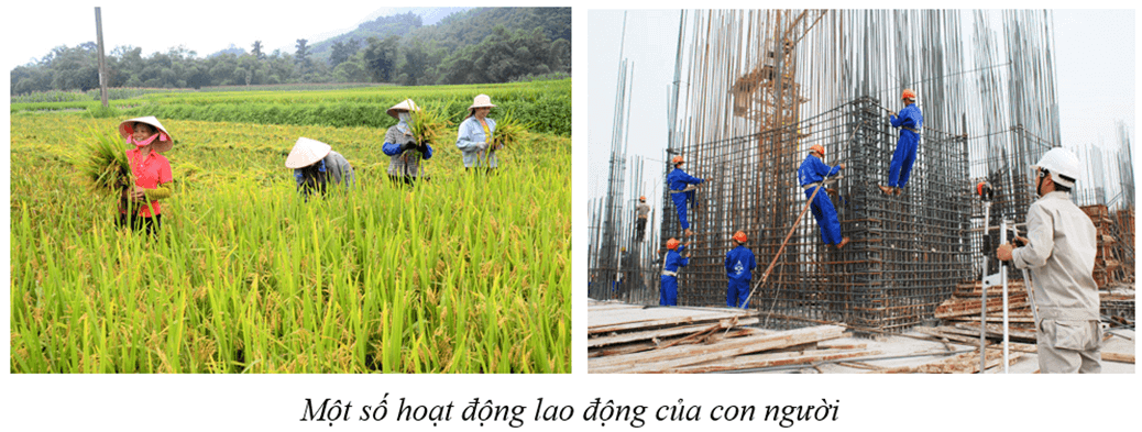 Lý thuyết GDCD 8 Chân trời sáng tạo Bài 10: Quyền và nghĩa vụ lao động của công dân