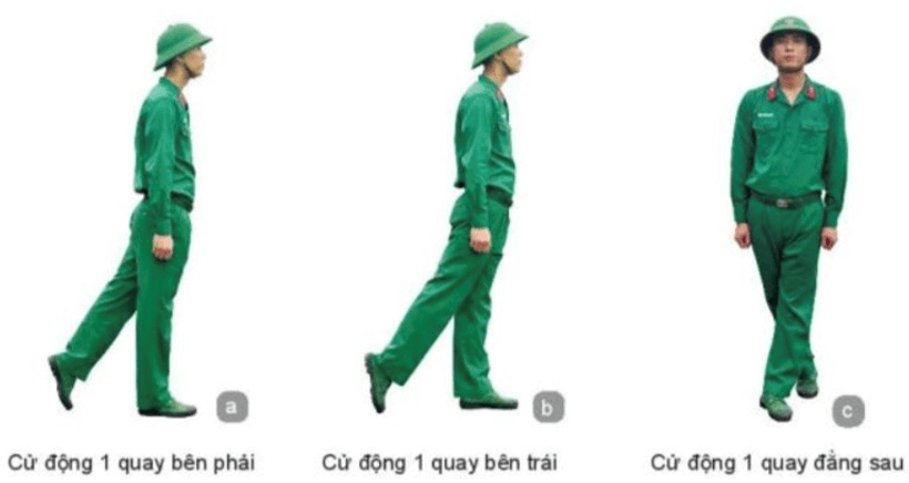 Lý thuyết GDQP 10 Cánh diều Bài 2: Đội ngũ từng người không có súng (ảnh 2)