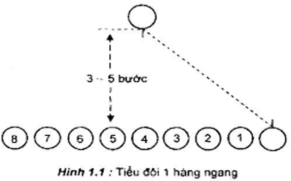 Lý thuyết GDQP 10 Cánh diều Bài 3: Đội ngũ tiểu đội (ảnh 1)