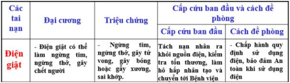 Nêu các biện pháp đề phòng và cấp cứu ban đầu khi bị điện giật