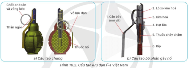 Lý thuyết GDQP 11 Cánh diều Bài 10: Kĩ thuật sử dụng lựu đạn | Giáo dục quốc phòng 11 (ảnh 1)