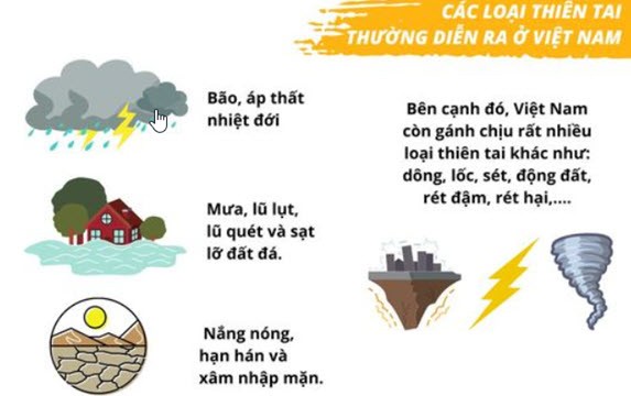 Lý thuyết GDQP 11 Kết nối tri thức Bài 4: Một số vấn đề về vi phạm pháp luật bảo vệ môi trường | Giáo dục quốc phòng 11