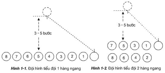 Thực hiện các bước chỉ huy đội hình tiểu đội 1 và 2 hàng ngang