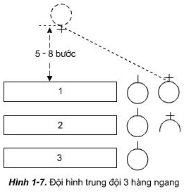 Thực hiện các bước chỉ huy đội hình trung đội 1,2 và 3 hàng ngang