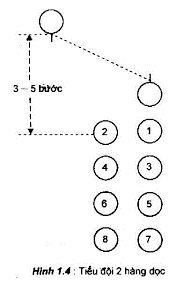 Bài 1. Đội ngũ đơn vị