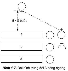 Thực hiện các bước chỉ huy đội hình tiểu đội 1 và 2 hàng dọc