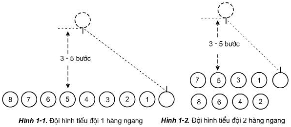 Thực hiện các bước chỉ huy đội hình tiểu đội 1 và 2 hàng ngang