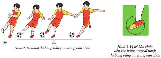 Nêu những điểm khác nhau giữa kĩ thuật đá bóng bằng mu trong bàn chân