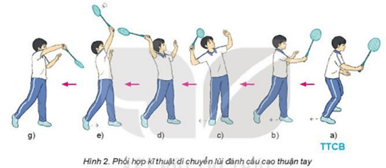 Vận dụng di chuyển lùi đánh cầu cao thuận tay phối hợp với di chuyển tiến đánh cầu thấp tay
