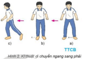 Vận dụng kỹ năng di chuyển ngang và di chuyển tiến, lùi để luyện tập vui chơi hàng ngày