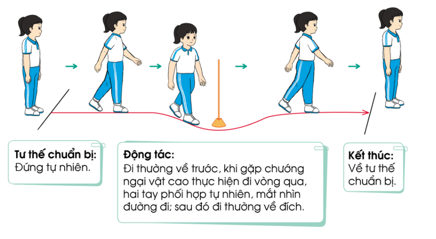 Giáo dục thể chất lớp 3 trang 52 Kiến thức mới | Cánh diều