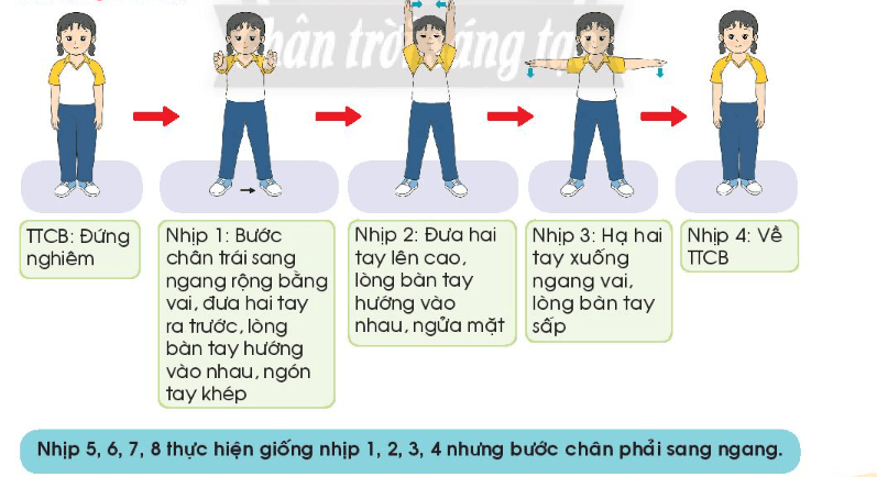 Giáo dục thể chất lớp 3 trang 25 Kiến thức mới | Chân trời sáng tạo