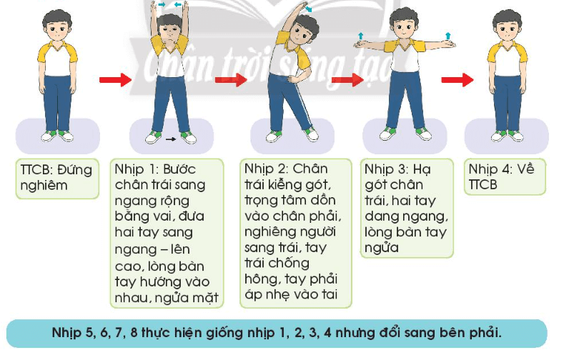 Giáo dục thể chất lớp 3 trang 28 Kiến thức mới | Chân trời sáng tạo