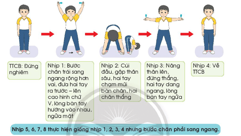 Giáo dục thể chất lớp 3 trang 31 Kiến thức mới | Chân trời sáng tạo