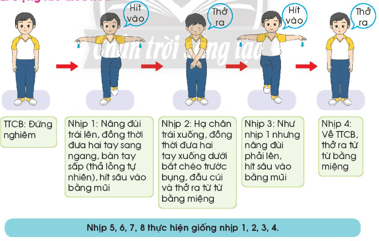 Giáo dục thể chất lớp 3 trang 34 Kiến thức mới | Chân trời sáng tạo