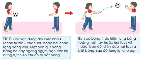 Giáo dục thể chất lớp 3 trang 52, 53 Kiến thức mới | Chân trời sáng tạo