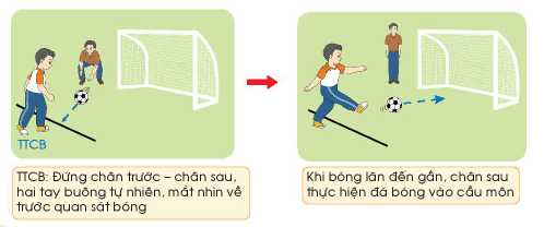 Giáo dục thể chất lớp 3 trang 76 Kiến thức mới | Chân trời sáng tạo