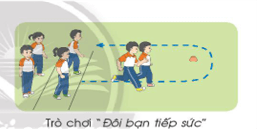 Giáo dục thể chất lớp 3 trang 71 Luyện tập | Chân trời sáng tạo