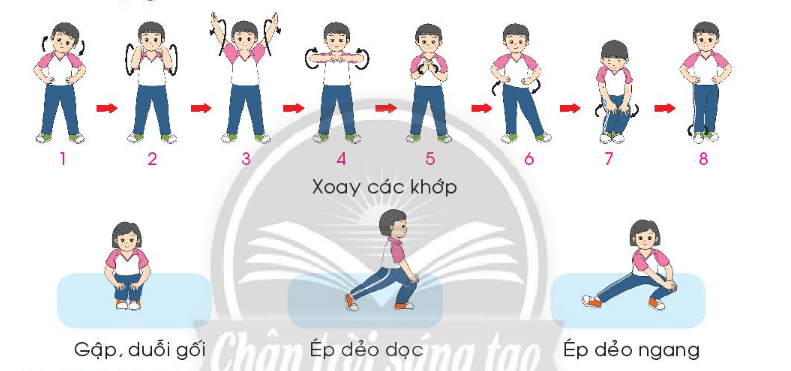 Giáo dục thể chất lớp 3 trang 12 Mở đầu | Chân trời sáng tạo