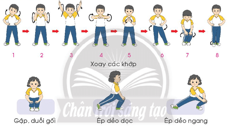 Giáo dục thể chất lớp 3 trang 33 Mở đầu | Chân trời sáng tạo