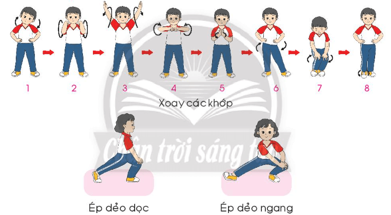 Giáo dục thể chất lớp 3 trang 36 Mở đầu | Chân trời sáng tạo