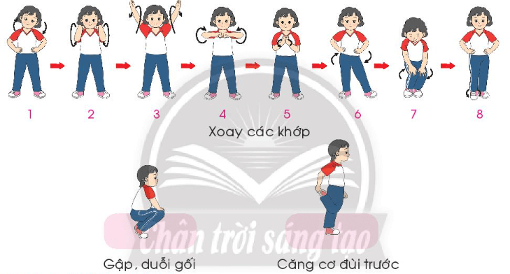 Giáo dục thể chất lớp 3 trang 39 Mở đầu | Chân trời sáng tạo