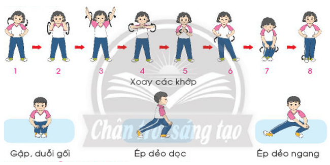 Giáo dục thể chất lớp 3 trang 7 Mở đầu | Chân trời sáng tạo