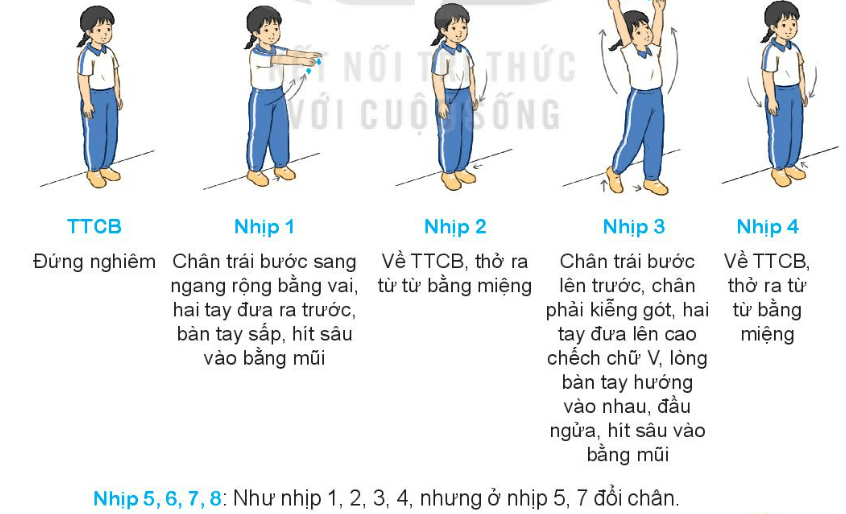 Giáo dục thể chất lớp 3 trang 31, 32 Kiến thức mới | Kết nối tri thức