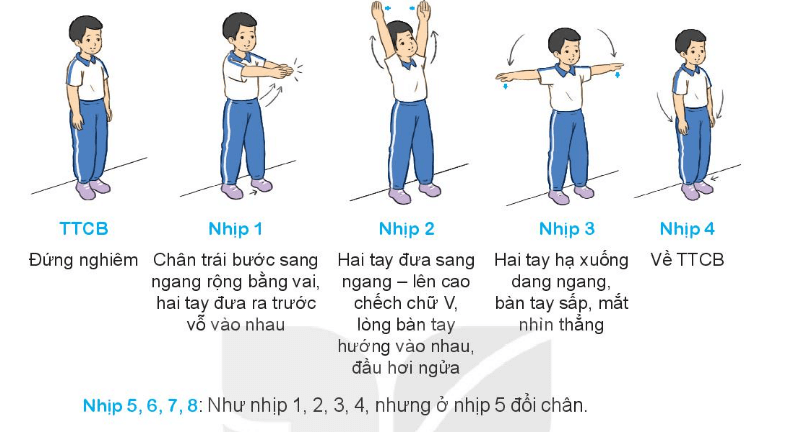 Giáo dục thể chất lớp 3 trang 31, 32 Kiến thức mới | Kết nối tri thức