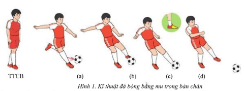 Em hãy nêu cách thực hiện kĩ thuật đá bóng bằng mu trong bàn chân và mu giữa bàn chân