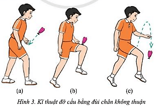 Em hãy nêu sự khác nhau giữa kĩ thuật đỡ cầu bằng đùi và kĩ thuật tâng cầu bằng đùi