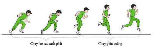 Giáo dục thể chất 7 Bài 2: Phối hợp trong giai đoạn chạy lao sau xuất phát và chạy giữa quãng | GDTC 7