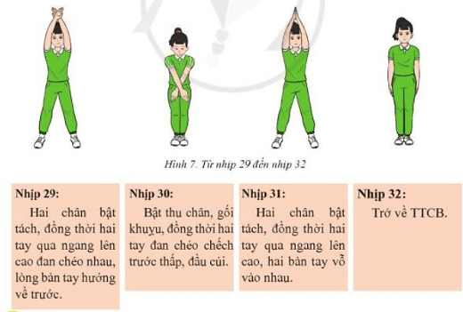 Em hãy vận dụng bài Thể dục liên hoàn vào tập luyện thể dục giữa giờ, biểu diễn kết hợp với các dụng cụ và âm nhạc