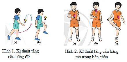 Em hãy nêu những điểm giống và khác nhau giữa kĩ thuật tâng cầu bằng đùi và tâng cầu bằng má trong bàn chân