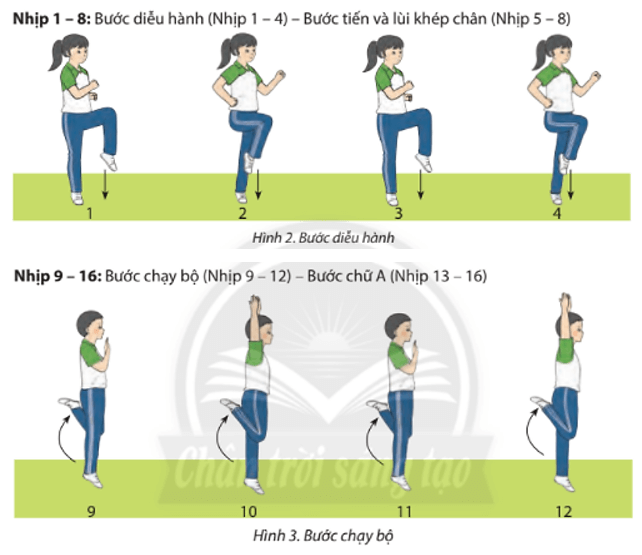 Các em hãy thay đổi thứ tự các động tác trong bài Thể dục Aerobic liên hoàn và thực hiện với nhạc