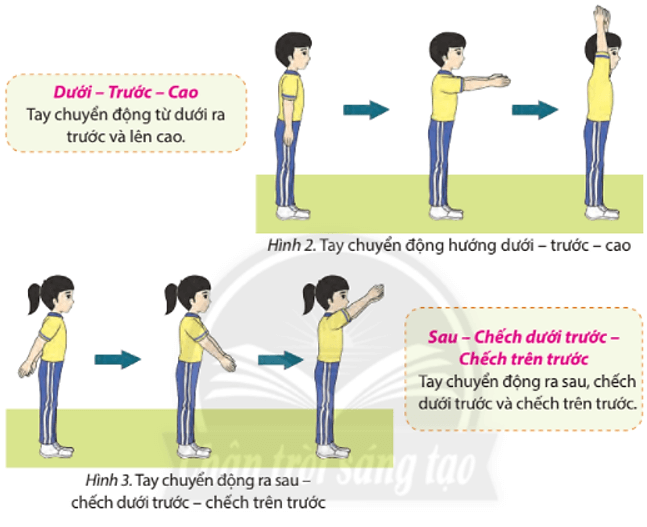 Em hãy sử dụng các tư thế tay cơ bản đã học ở lớp 6 để ghép vào các bước chân phối hợp