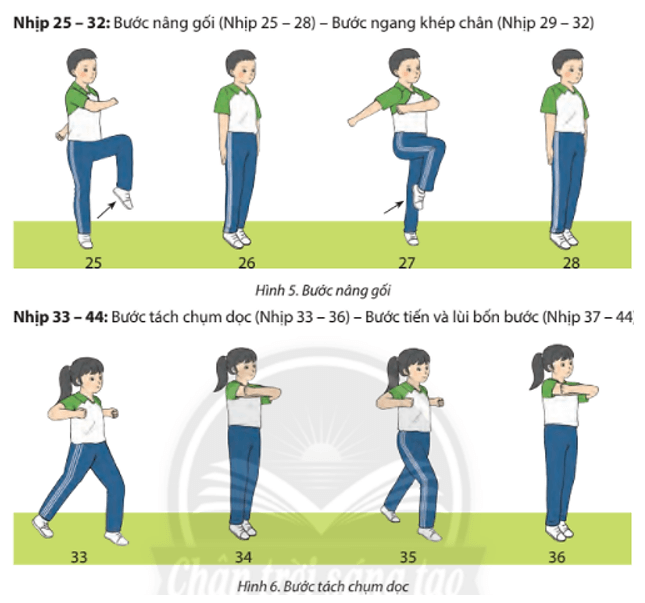 Trong giờ ra chơi, các em cùng nhau tập luyện bài Thể dục Aerobic liên hoàn với nhạc cho các bạn cùng xem