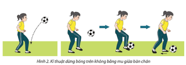 Em hãy tận dụng bức tường ở những nơi cho phép thực hiện tung bóng vào tường theo hướng từ dưới lên