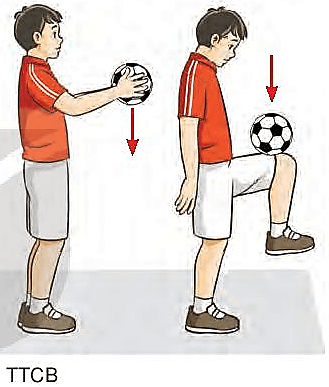Em hãy sử dụng bài tập tâng bóng bằng đùi để tập thể dục buổi sáng và vui chơi