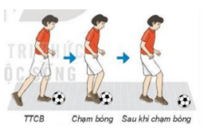 Trắc nghiệm GDTC 7 Kết nối tri thức Bài 3 (có đáp án): Kĩ thuật dẫn bóng bằng mu trong bàn chân