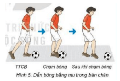 Trắc nghiệm GDTC 7 Kết nối tri thức Bài 3 (có đáp án): Kĩ thuật dẫn bóng bằng mu trong bàn chân