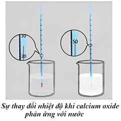 Bài tập ôn tập Hóa học 10 Cánh diều Chủ đề 5 (có đúng sai, trả lời ngắn)