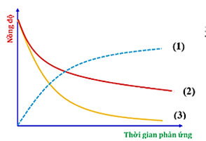 Bài tập ôn tập Hóa học 10 Cánh diều Chủ đề 6 (có đúng sai, trả lời ngắn)