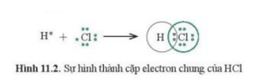 Trong phân tử HCl, lớp electron ngoài cùng của Cl và H lần lượt là bao nhiêu electron?